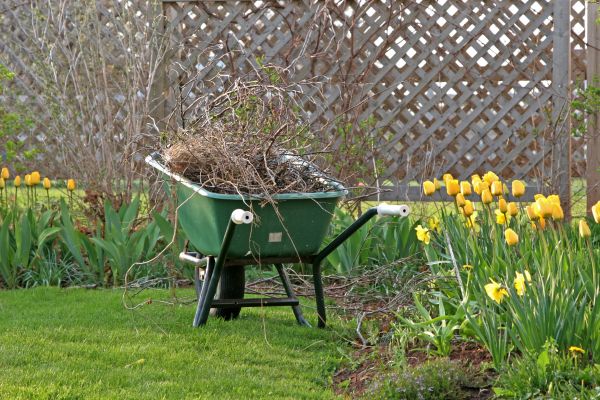 Flower Bed Cleanup Service in Largo