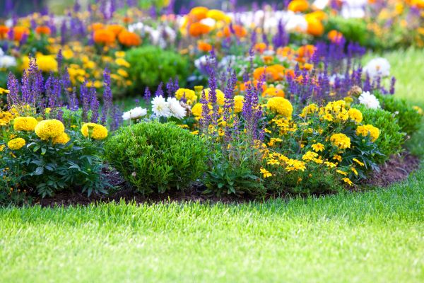 Flower Bed Maintenance in Largo