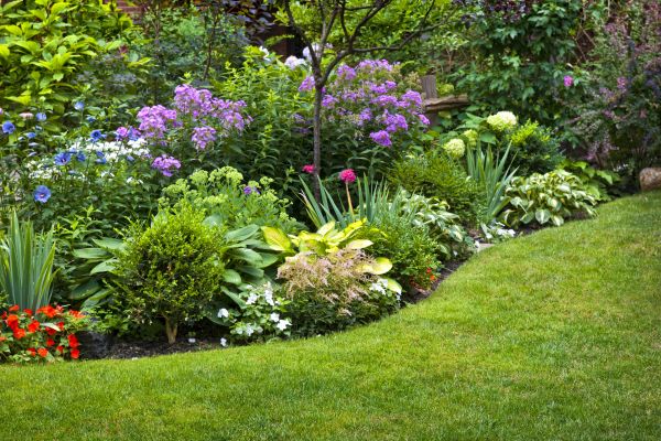 Flower Bed Service in Largo
