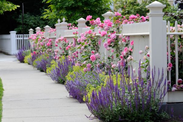 Garden Handyman Service in Largo