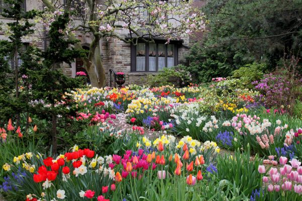 Garden Maintenance Service in Largo
