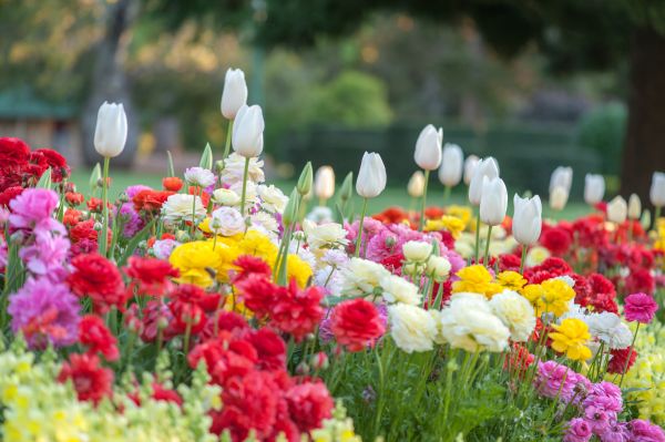 Gardening Service in Largo