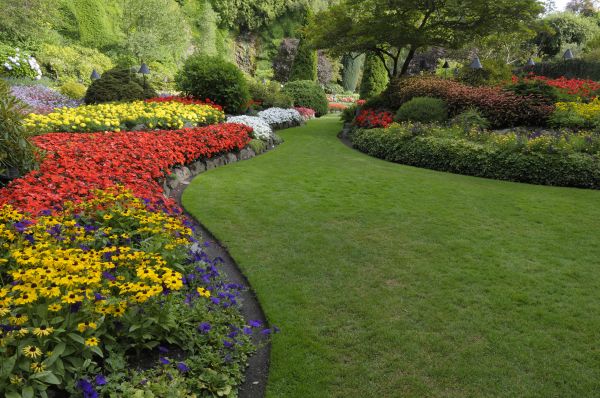 Landscaping Maintenance in Largo