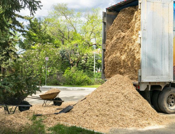 Wood Chips Delivery in Largo
