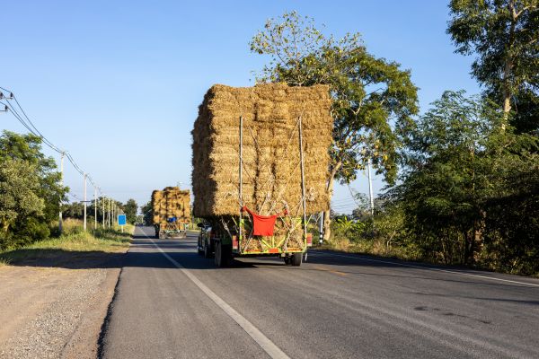 Pine Straw Delivery in Largo