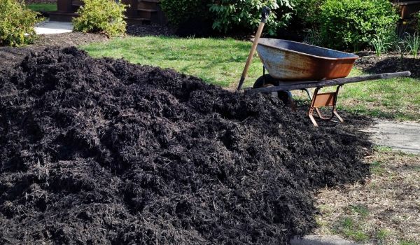 Black Mulch Delivery in Largo