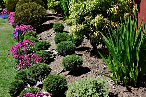 Residential Gardening in Largo