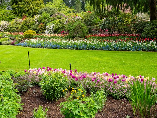 Residential Landscape Design in Largo