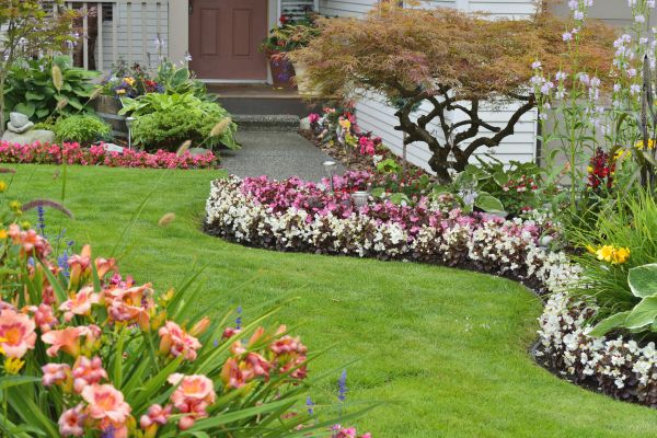 Perennial Landscaping in Largo