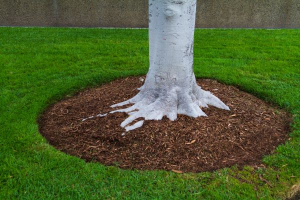 Brown Mulch Installation in Largo