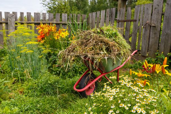 Garden Cleanup Service in Largo