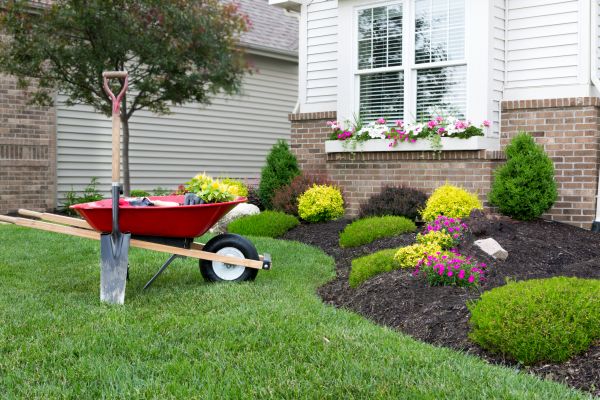 Tree And Shrub Planting in Largo