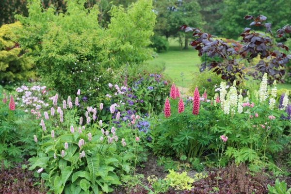 Flower Bed Planting in Largo