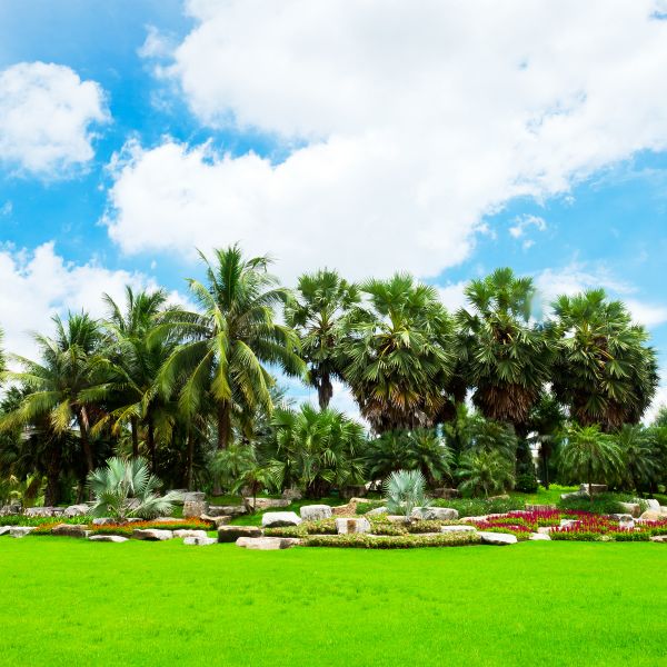 Tropical Landscaping in Largo