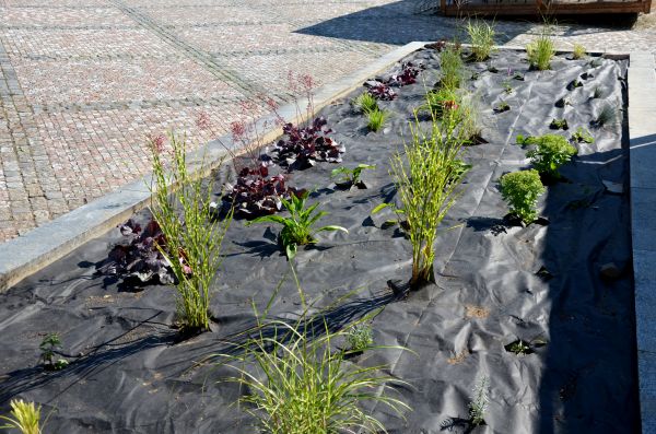 Landscape Fabric Installation in Largo