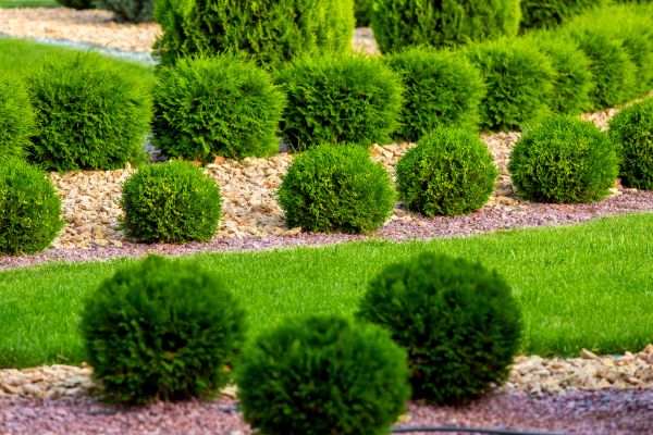 Bush Installation in Largo