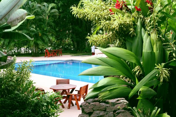 Pool Area Landscaping in Largo