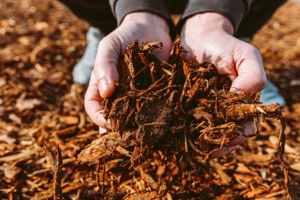 Bark Chips Delivery in Largo