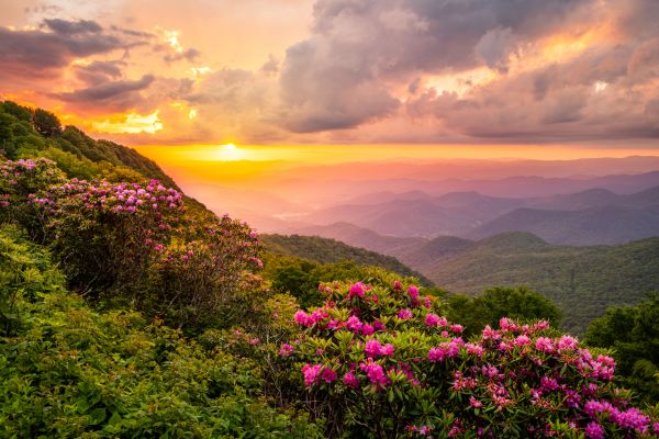 Hill Landscaping in Largo