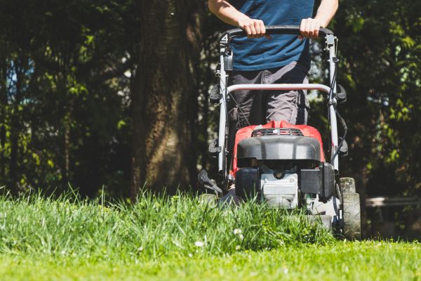 Garden Trimming Service in Largo