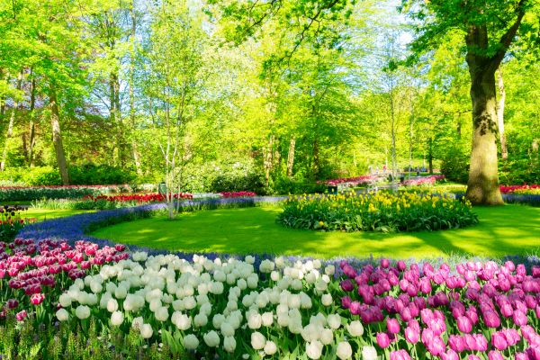 Flower Landscaping in Largo