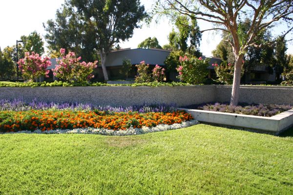 Commercial Landscape Service in Largo