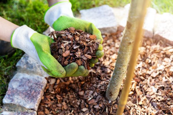 Tree Bark Delivery in Largo