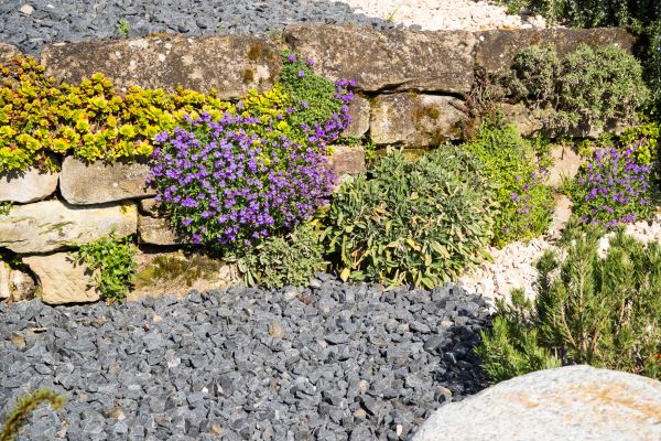 Landscaping Rocks Installation in Largo