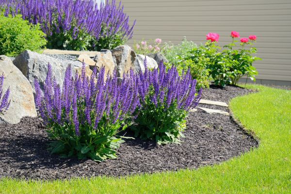 Landscape Planting Service in Largo