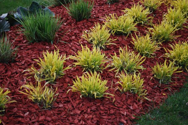 Red Mulch Installation in Largo