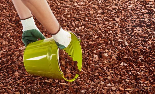 Wood Chip Landscaping in Largo