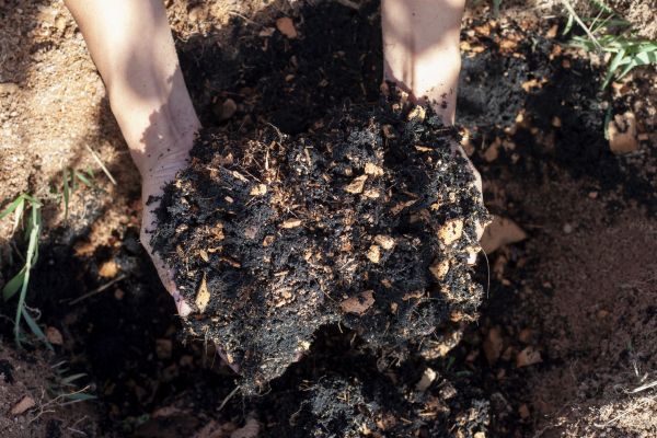 Organic Mulch Installation in Largo
