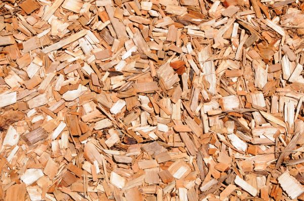 Cypress Mulch Spreading in Largo