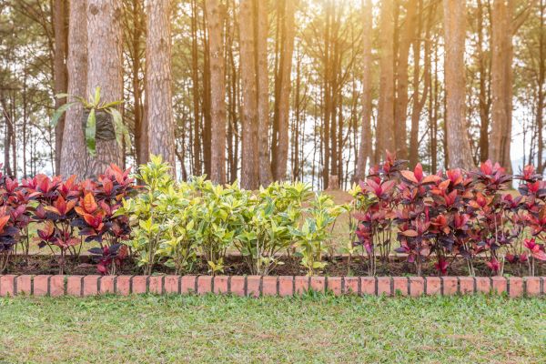 Small Garden Landscaping in Largo