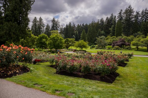 Flower Garden Landscaping in Largo