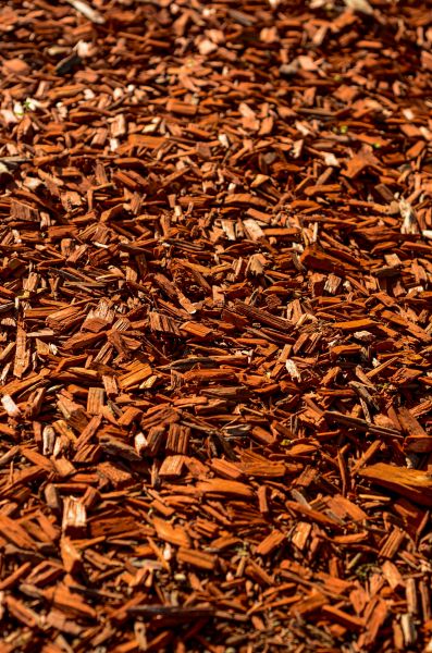 Cedar Mulch Spreading in Largo