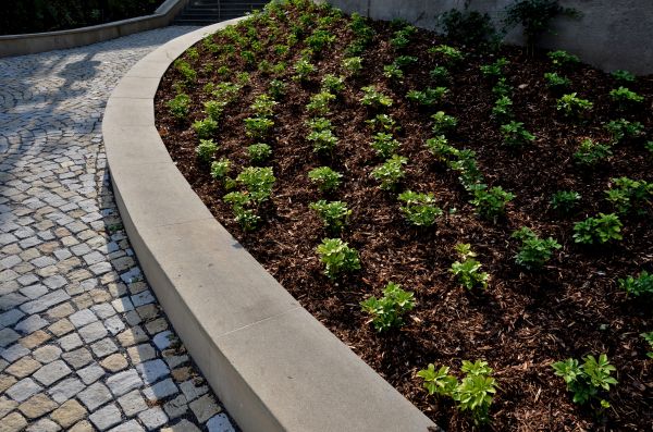 Commercial Mulching in Largo