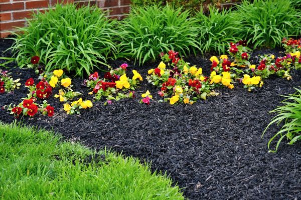 Apartment Mulching in Largo