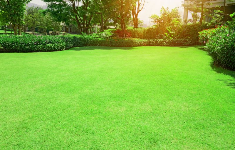 Lawn and Turf