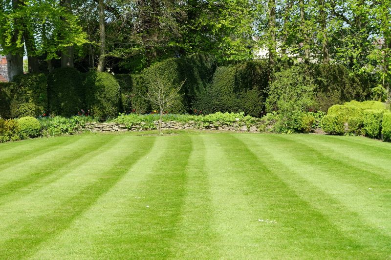 Lawn with Borders